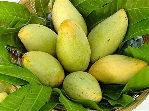 Xuất khẩu nông sản sang Hàn Quốc cần lưu ý quy định mới