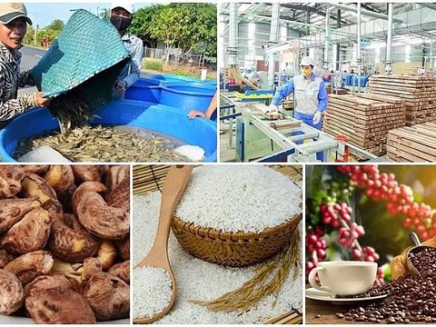 Tăng lòng tin của các nhà bán lẻ EU với nông sản Việt