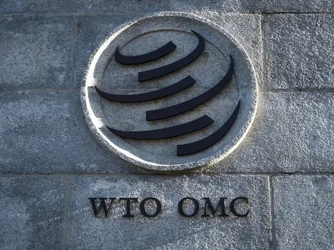 Hội nghị Bộ trưởng WTO trước những cơn gió ngược về kinh tế và chính trị