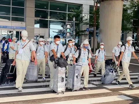 Hàn Quốc thí điểm tiếp nhận lao động nước ngoài cho 4 ngành mới từ tháng 4 tới