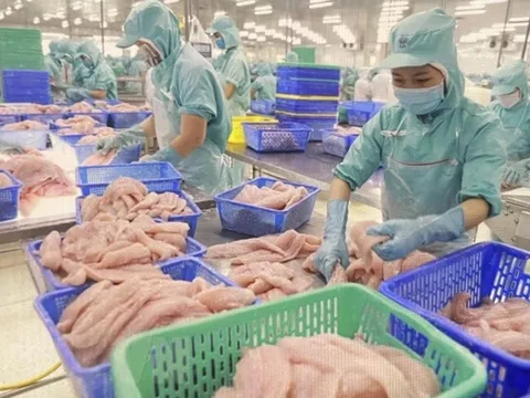 Giá trị xuất siêu nông lâm thủy sản của Việt Nam tăng gần gấp ba