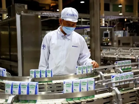 Hơn 520 doanh nghiệp đạt chứng nhận hàng Việt Nam chất lượng cao năm 2024