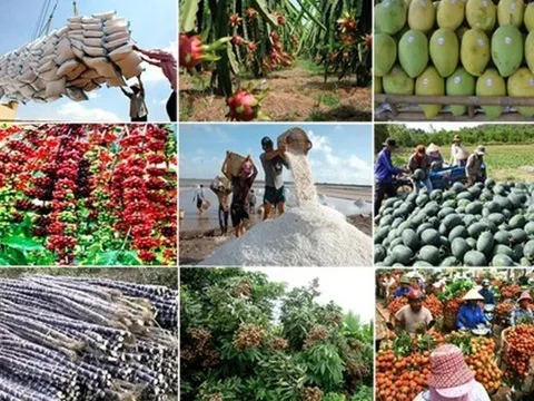 Khai thác thị trường nông sản châu Âu: Thích ứng tiêu chuẩn mới