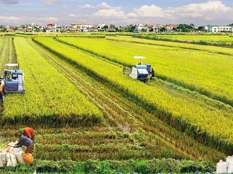 Thủ tướng Chính phủ điều chỉnh một số chỉ tiêu sử dụng đất đến năm 2025