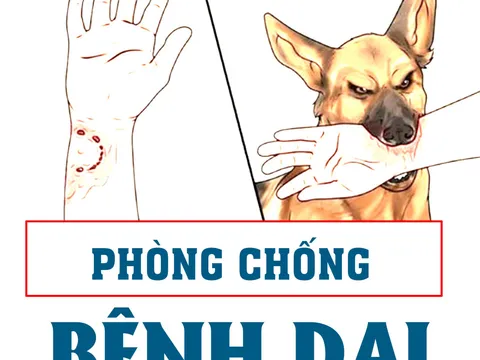 Công điện của Thủ tướng về việc tập trung thực hiện nghiêm công tác phòng, chống bệnh Dại