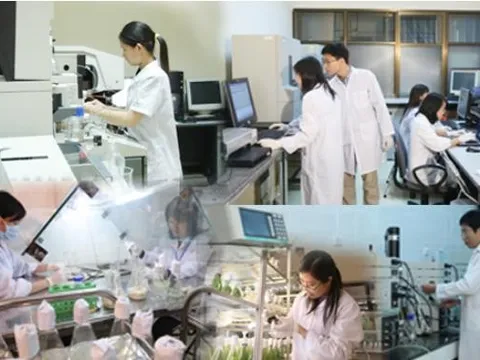 Chính phủ phê duyệt Quy hoạch mạng lưới tổ chức khoa học và công nghệ công lập