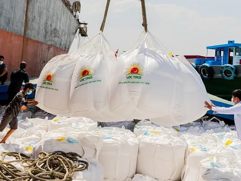 Xuất khẩu gạo sang thị trường Trung Quốc và những lưu ý cho doanh nghiệp Việt