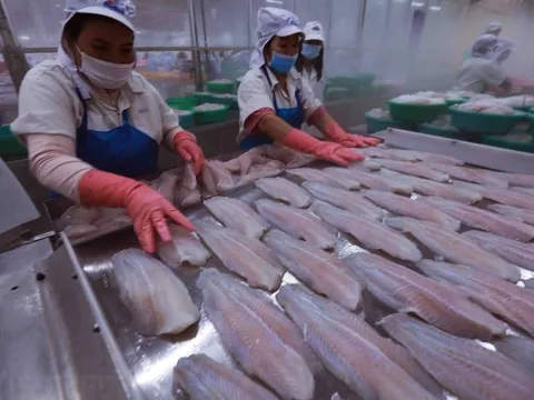 Chuyên gia: Bí quyết giúp doanh nghiệp Việt chinh phục các thị trường tỷ dân