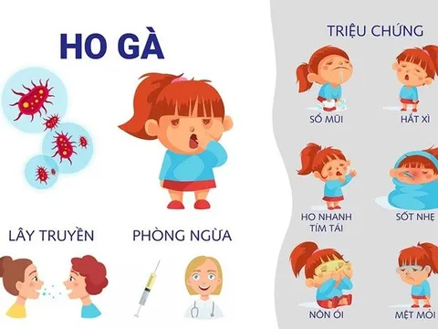 Tăng cường công tác phòng, chống bệnh ho gà và các bệnh dự phòng bằng vaccine
