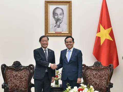 Phó Thủ tướng Trần Lưu Quang tiếp Phó Chủ tịch JICA