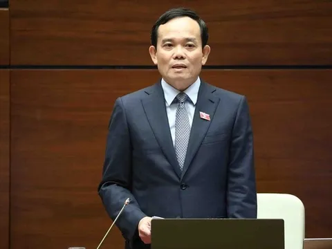 Phó Thủ tướng Trần Lưu Quang làm Trưởng Ban Chỉ đạo quốc gia về ODA và vốn vay ưu đãi