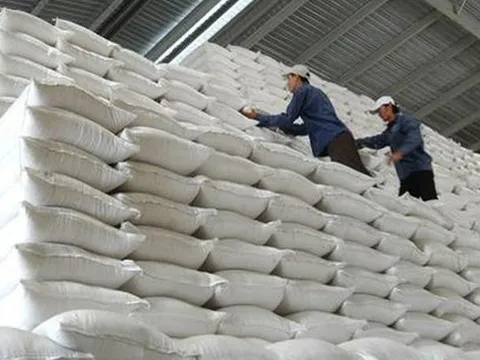 Quy định mức hao hụt thóc, gạo dự trữ quốc gia