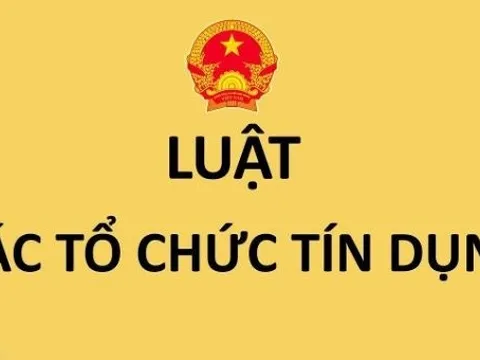 Triển khai thi hành Luật Các tổ chức tín dụng số 32/2024/QH15