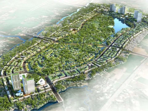 Long An: Chuyển mục đích sử dụng 201 ha đất để thực hiện Dự án Khu đô thị