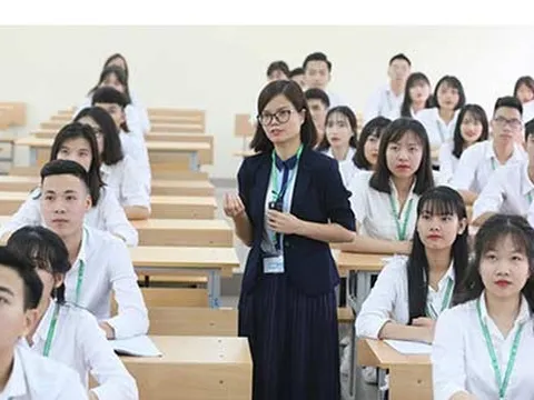Hướng dẫn vị trí việc làm lãnh đạo, quản lý và chức danh nghề nghiệp chuyên ngành trong trường đại học