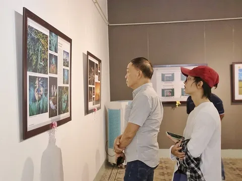 Tổ chức Cuộc thi và triển lãm ảnh nghệ thuật Việt Nam năm 2024