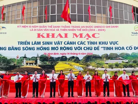 Triển lãm sinh vật cảnh các tỉnh khu vực đồng bằng sông Hồng mở rộng năm 2024