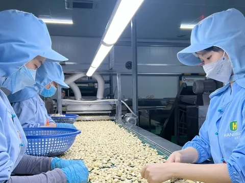 Gia tăng xuất khẩu sang thị trường Bắc Âu: Những quy định doanh nghiệp cần lưu ý
