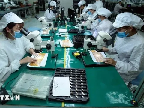 Giới chuyên gia quốc tế đánh giá cao tiềm năng của thị trường Việt Nam