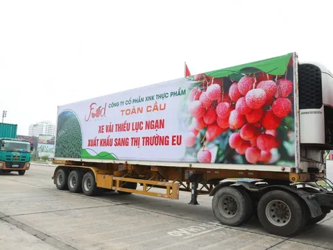 Thương mại điện tử: Cơ hội đưa nông sản Việt vươn xa