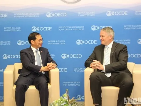 Thúc đẩy quan hệ hợp tác Việt Nam-OECD