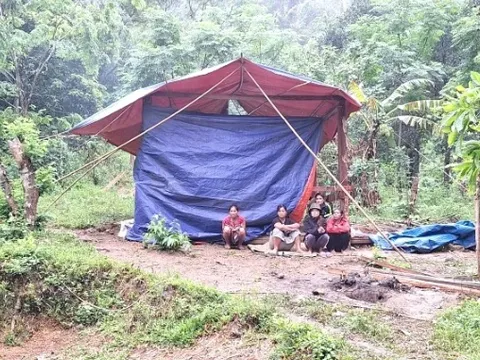 Quảng Bình: Truy bắt nghi phạm giết người rồi trốn vào rừng