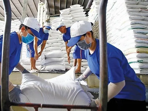 Doanh nghiệp Việt liên tiếp trúng các gói thầu gạo lớn