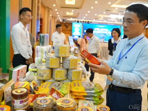 Tăng cường kết nối giao thương khu vực Bắc Trung Bộ