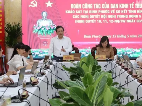 Kinh tế tư nhân nhiều năm tăng trưởng ấn tượng