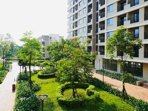 Gói tín dụng 120.000 tỉ đồng: Mới có 3 ngân hàng cho chủ đầu tư dự án nhà ở xã hội vay vốn