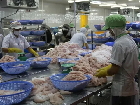 Số doanh nghiệp gia nhập thị trường cao gấp 1,2 lần so với trước COVID-19