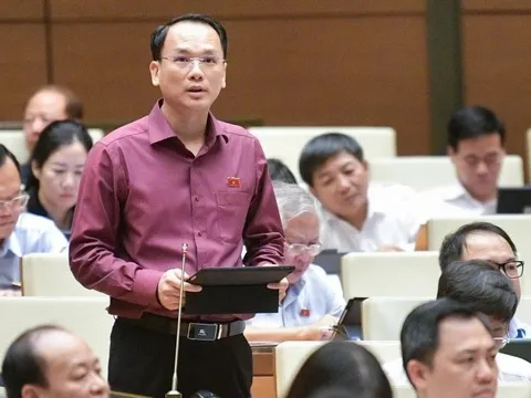 Vé máy bay lại nóng diễn đàn Quốc hội