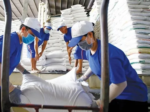 Chính phủ xuất cấp hơn 1.000 tấn gạo cho 5 địa phương dịp giáp hạt năm 2024