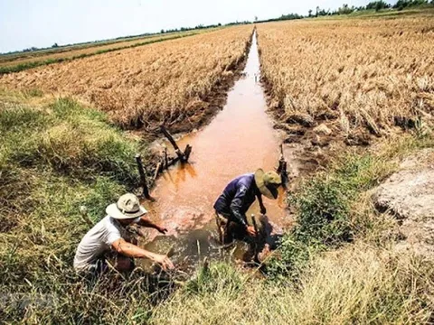 Xâm nhập mặn tại đồng bằng sông Cửu Long tiếp tục giảm