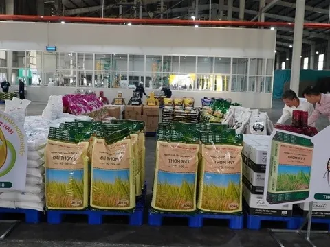 Việt Nam là đối tác xuất khẩu gạo lớn nhất của Philippines