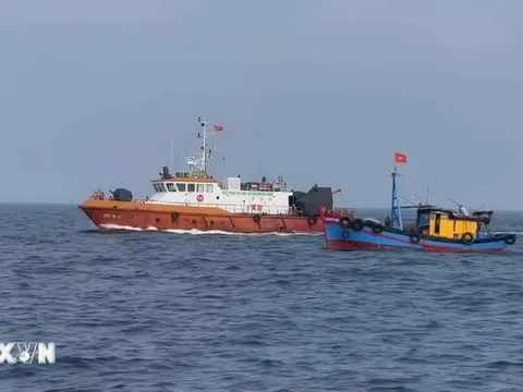 Hàn Quốc ủng hộ những nỗ lực của Việt Nam nhằm gỡ thẻ vàng IUU