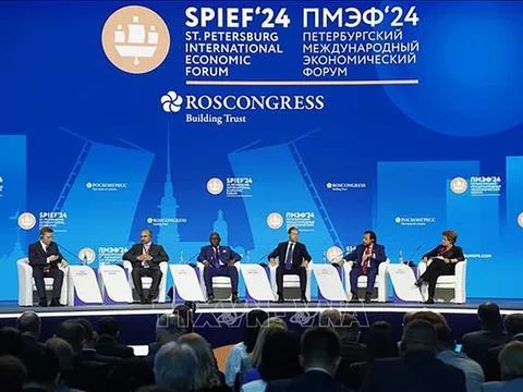 Phó Thủ tướng Trần Lưu Quang đưa ra ba đề xuất tại Diễn đàn Kinh tế quốc tế Saint-Petersburg