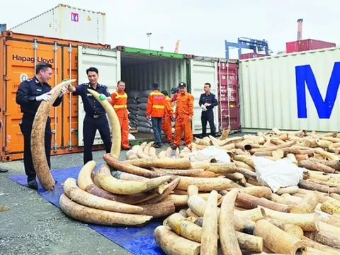 Mở rộng quy mô Chiến dịch Con rồng Mekong, tăng cường phát hiện sớm các đường dây buôn lậu xuyên quốc gia