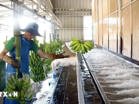 Doanh nghiệp Việt Nam góp phần cải thiện cuộc sống người lao động Lào