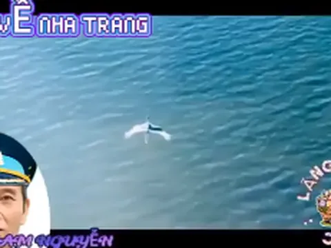 Trở về Nha Trang - Vị mặn của biển, vị ngọt của tình