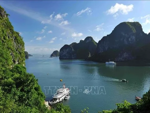Xác minh, làm rõ việc tàu du lịch “bỏ rơi” khách trên vịnh Hạ Long