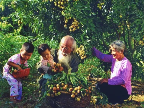 Nhiều hoạt động văn hóa tôn vinh giá trị truyền thống gia đình