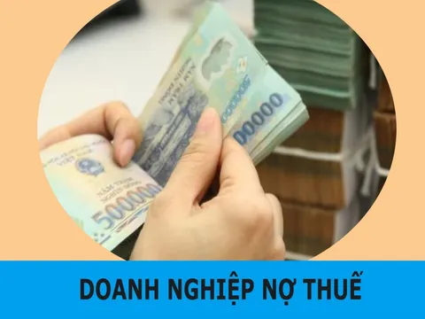Trường Đại học Hà Hoa Tiên nợ thuế hơn 50 tỷ đồng