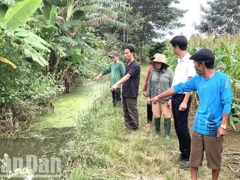 Đắk Lắk tăng cường phòng, chống bệnh viêm não Nhật Bản