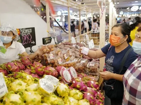 Thái Lan là thị trường nhập khẩu lớn nhất của Việt Nam trong khối ASEAN