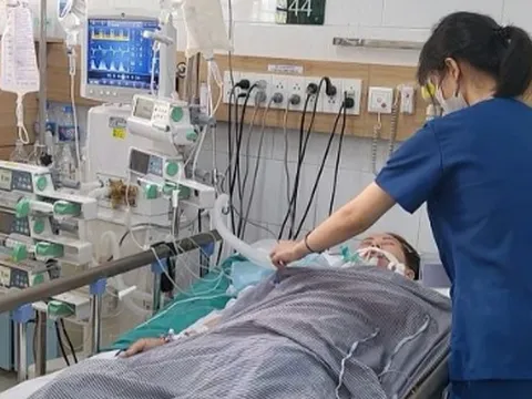 Uống nhầm thuốc sắc từ rễ cây lá ngón, một người phụ nữ tử vong