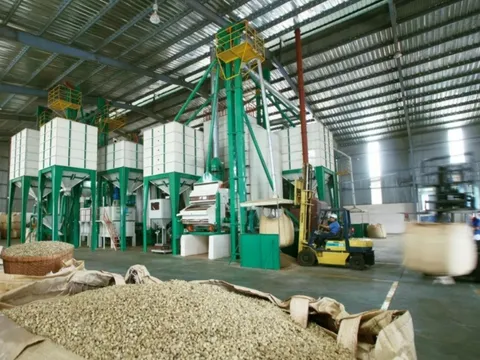 Tận dụng hiệu quả C/O, khơi mở 'cao tốc' dẫn vào thị trường EU