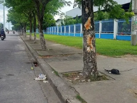 Điều tra nguyên nhân vụ tai nạn giao thông khiến 3 người tử vong