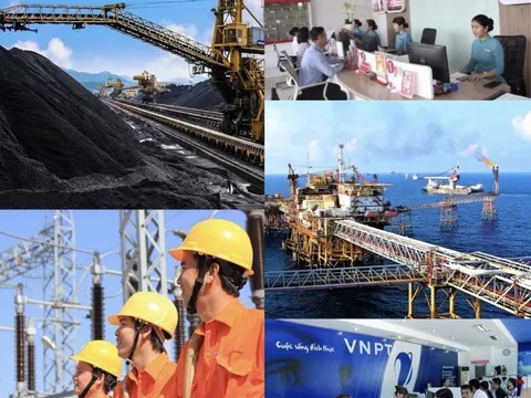 Sửa quy định thực hiện quyền, trách nhiệm của đại diện chủ sở hữu nhà nước