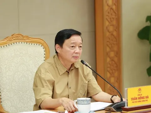 Triển khai các dự án thí điểm phát triển dự án điện gió ngoài khơi